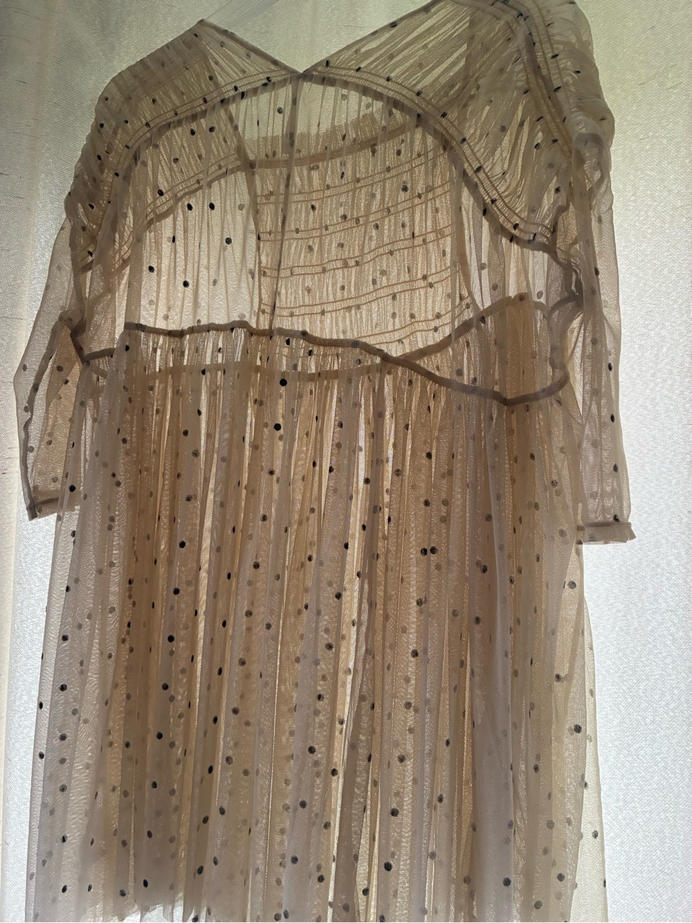 Anthropologie Sheer Polka Dot Ruffle Tunic in Beige and Black